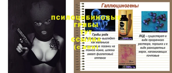 прущие грибы Балабаново
