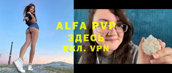 прущие грибы Балабаново