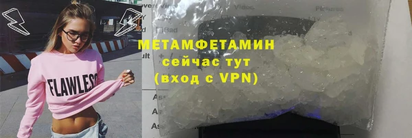 прущие грибы Балабаново