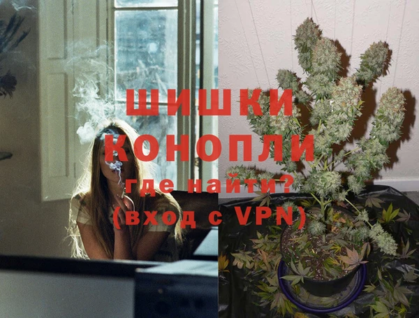 прущие грибы Балабаново