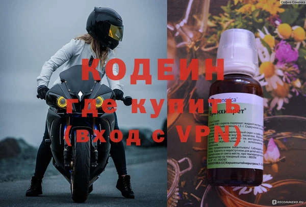 прущие грибы Балабаново