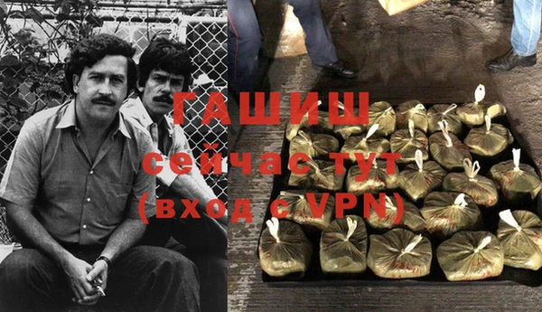 прущие грибы Балабаново