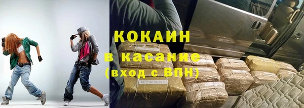 прущие грибы Балабаново