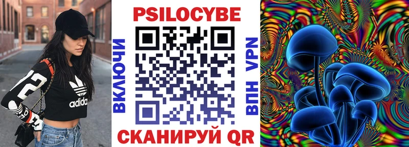 Псилоцибиновые грибы Psilocybine cubensis  Купить где  Полесск 